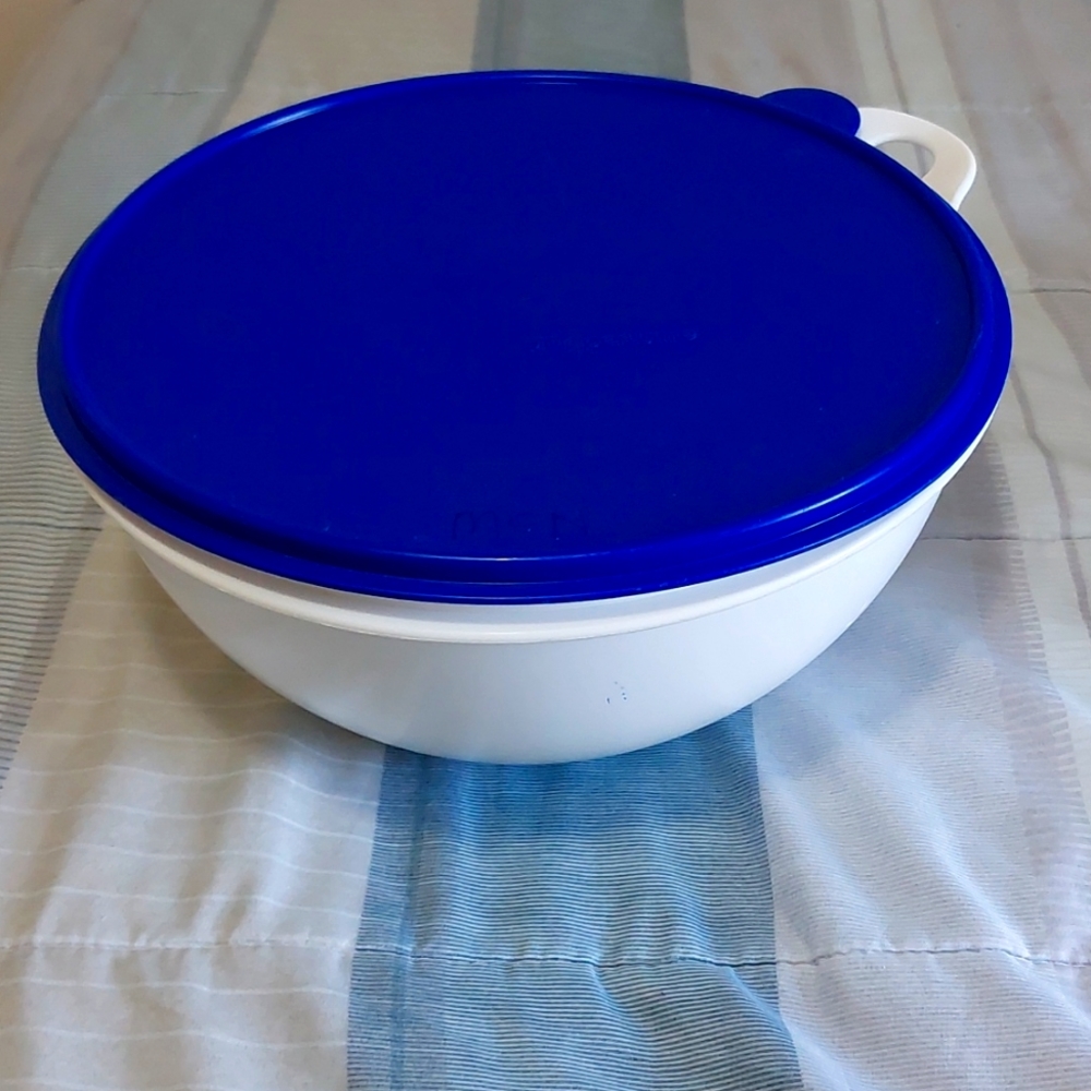 Lrg 32 cup bowl